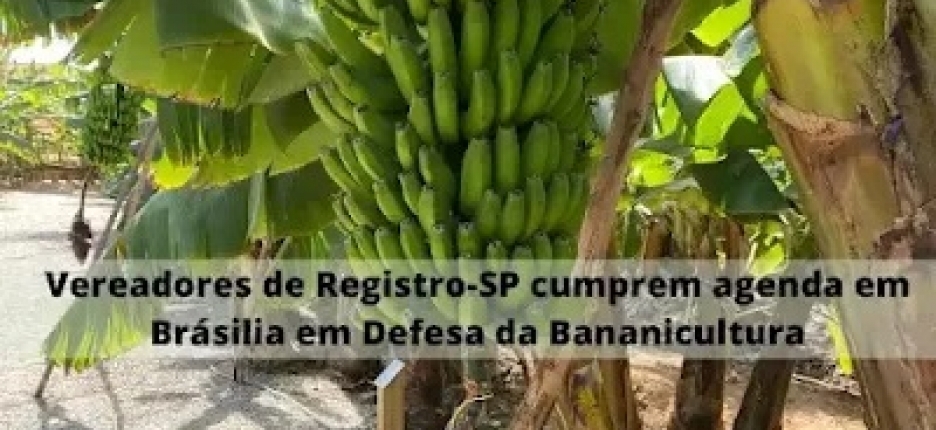Vereadores de Registro-SP cumprem agenda em Bras�lia em Defesa da Bananicultura